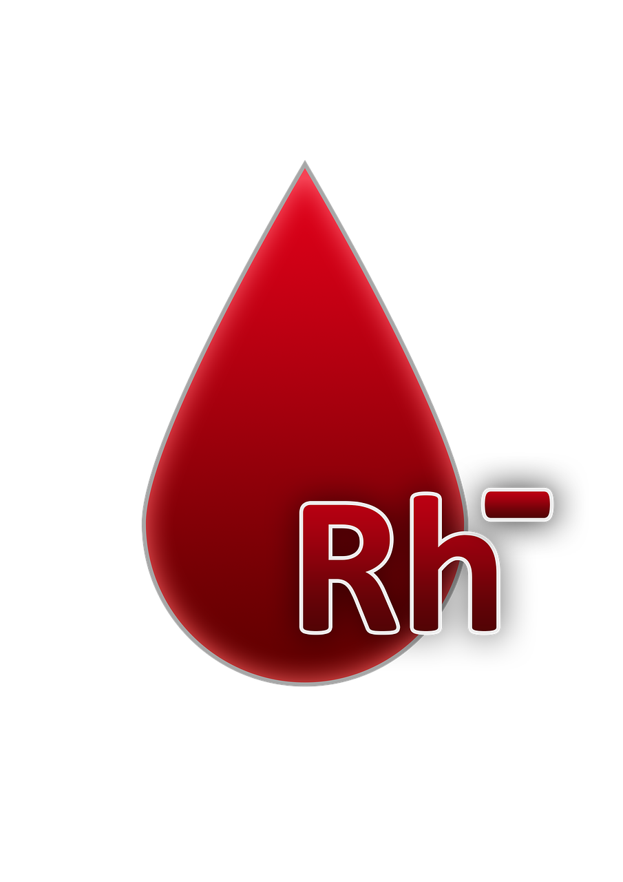 wichtige faktoren und aktuelle trends im jahr 2025: ein umfassender &uuml;berblick &uuml;ber die entwicklungen, die die zukunft pr&auml;gen werden.