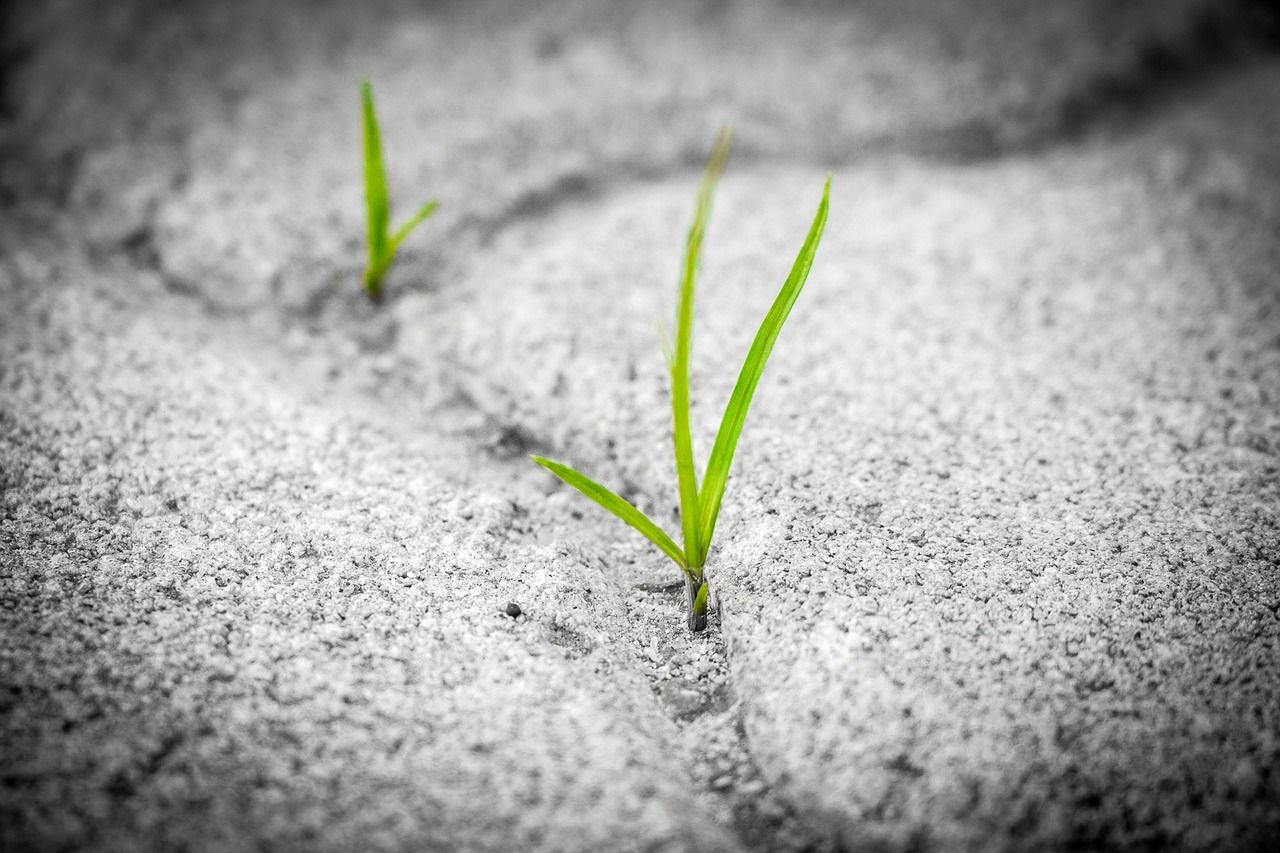 entdecken sie die bedeutung von resilienz und erfahren sie, wie sie ihre persönliche widerstandsfähigkeit stärken können, um herausforderungen erfolgreich zu meistern.