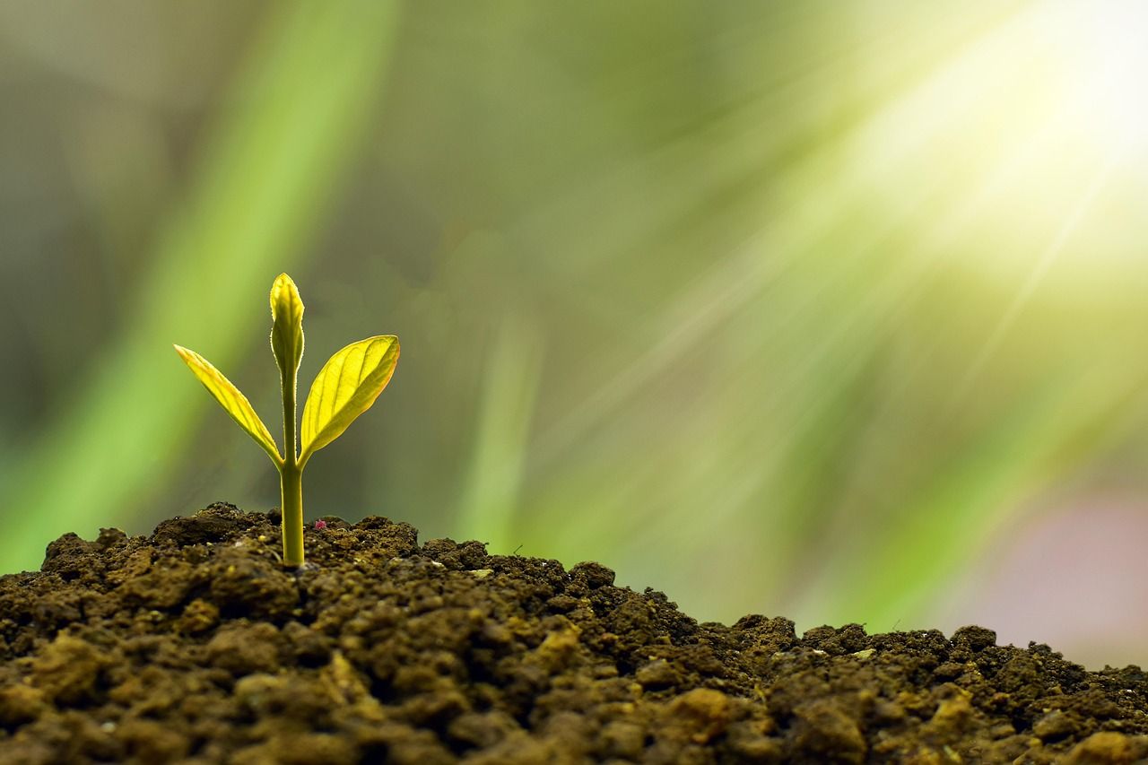 erfahren sie alles über investmentstrategien, tipps und aktuelle trends, um ihr kapital sicher und gewinnbringend anzulegen.