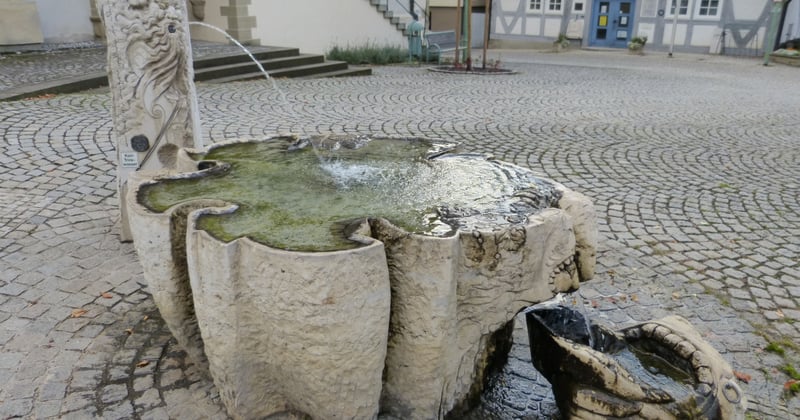 Heilfasten Anleitung: Schritt für Schritt richtig fasten