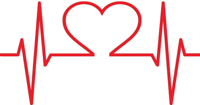 EKG-Auswertung Schema: der Ablauf, der wirklich funktioniert