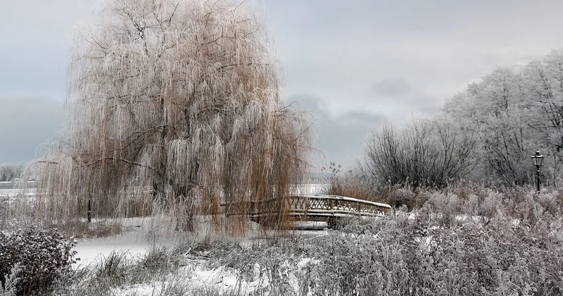 Der Gartower See im Winter: Eine ganz andere Seite