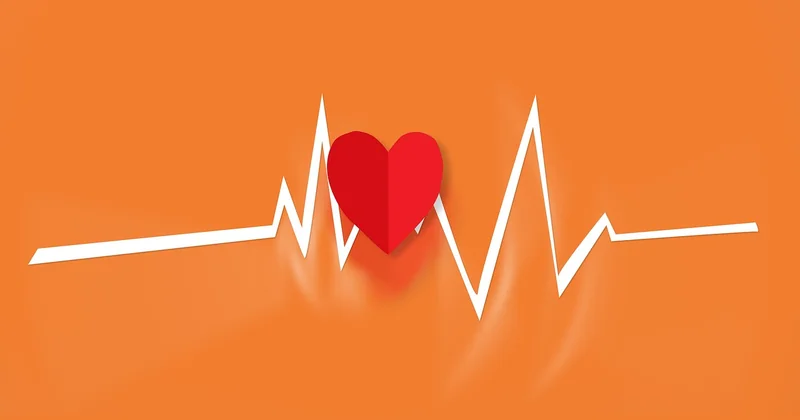 EKG Auffälligkeiten: warum der automatische Befund kein Befund ist