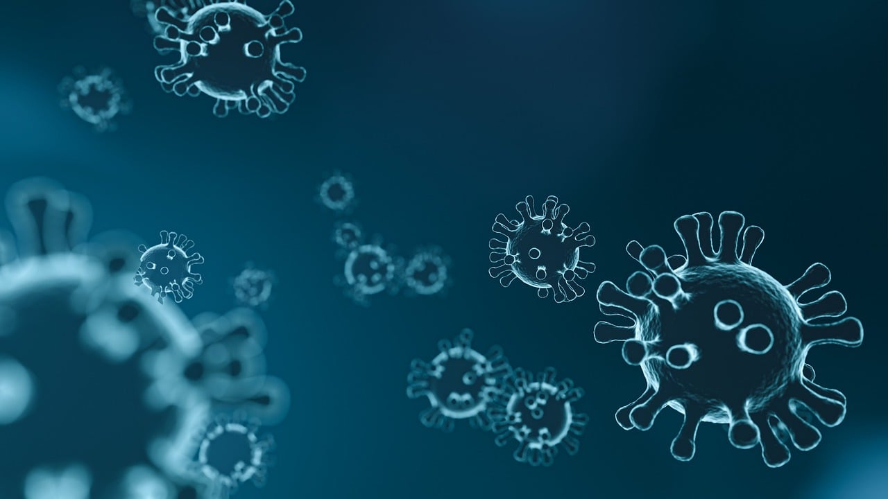 entdecken sie die geheimnisse des immunsystems und erfahren sie, wie sie ihre abwehrkräfte stärken können, um gesund zu bleiben. tipps zur ernährung, lebensstil und prävention.