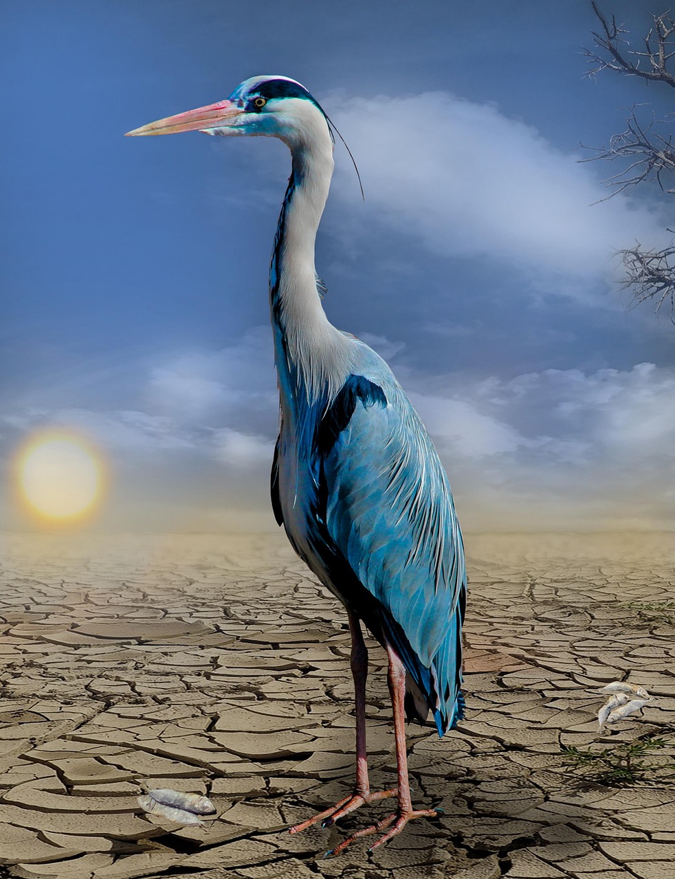 erfahren sie mehr über den klimawandel, seine ursachen, auswirkungen auf umwelt und gesellschaft sowie maßnahmen zum klimaschutz. informieren sie sich jetzt über aktuelle entwicklungen rund um den klimawandel.